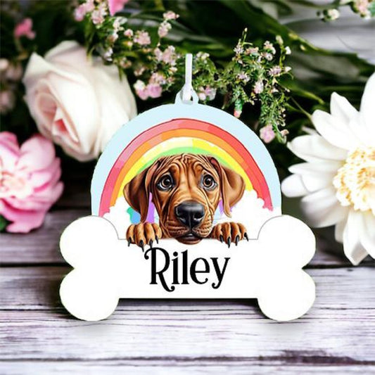 Personalised Rhodesian Ridgeback Rainbow Hanging Decoration