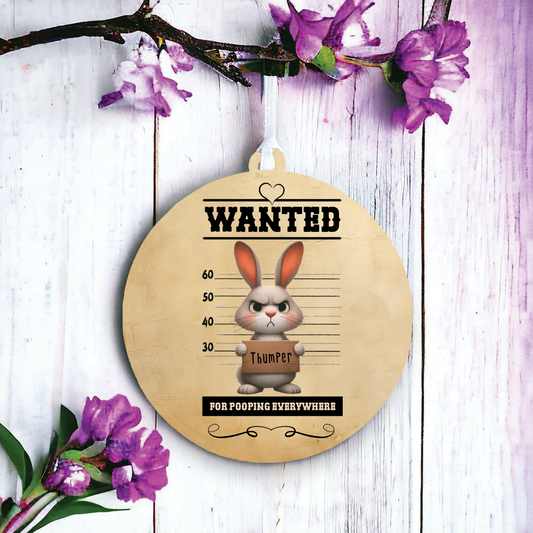 Personalised Rabbit Animal Wanted Decoration